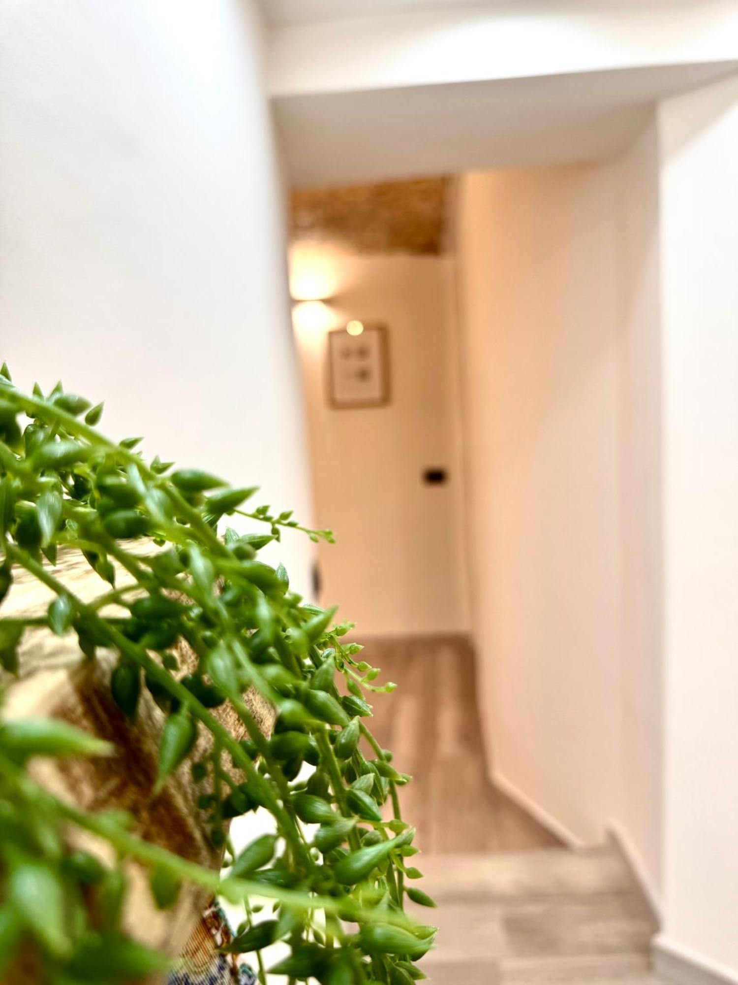 Luxury Stay Palermo Suite Con Spa Privata Vicino Stazione Zewnętrze zdjęcie